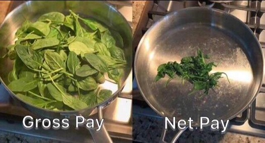 gross vs net pay.jpg